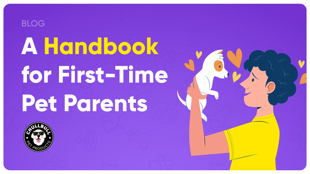 Furry Beginnings: A Handbook for First-Time Pet Parents