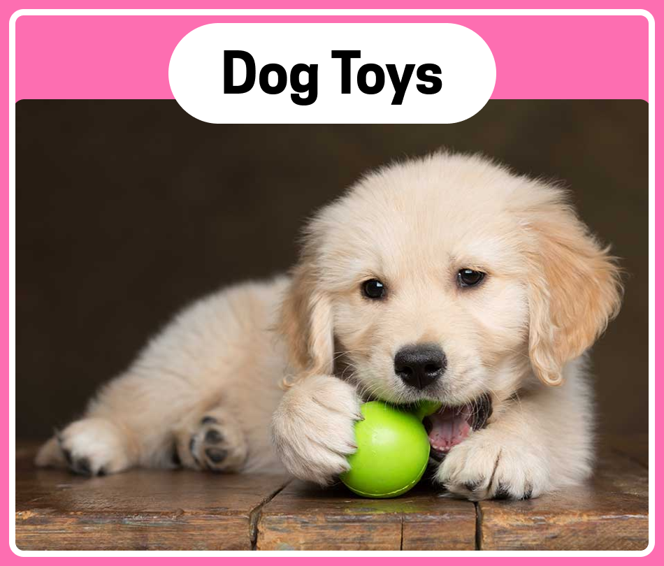 Chullbull Pet Products