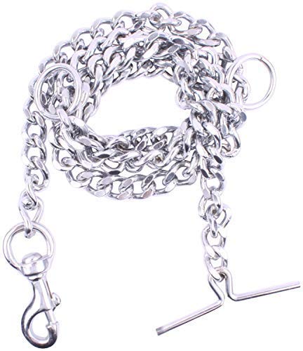 Dog Chain Leash with Black Choke Collar.