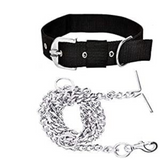 Dog Chain Chrome Plated + Dog Collar for Hyper-Active Dogs.