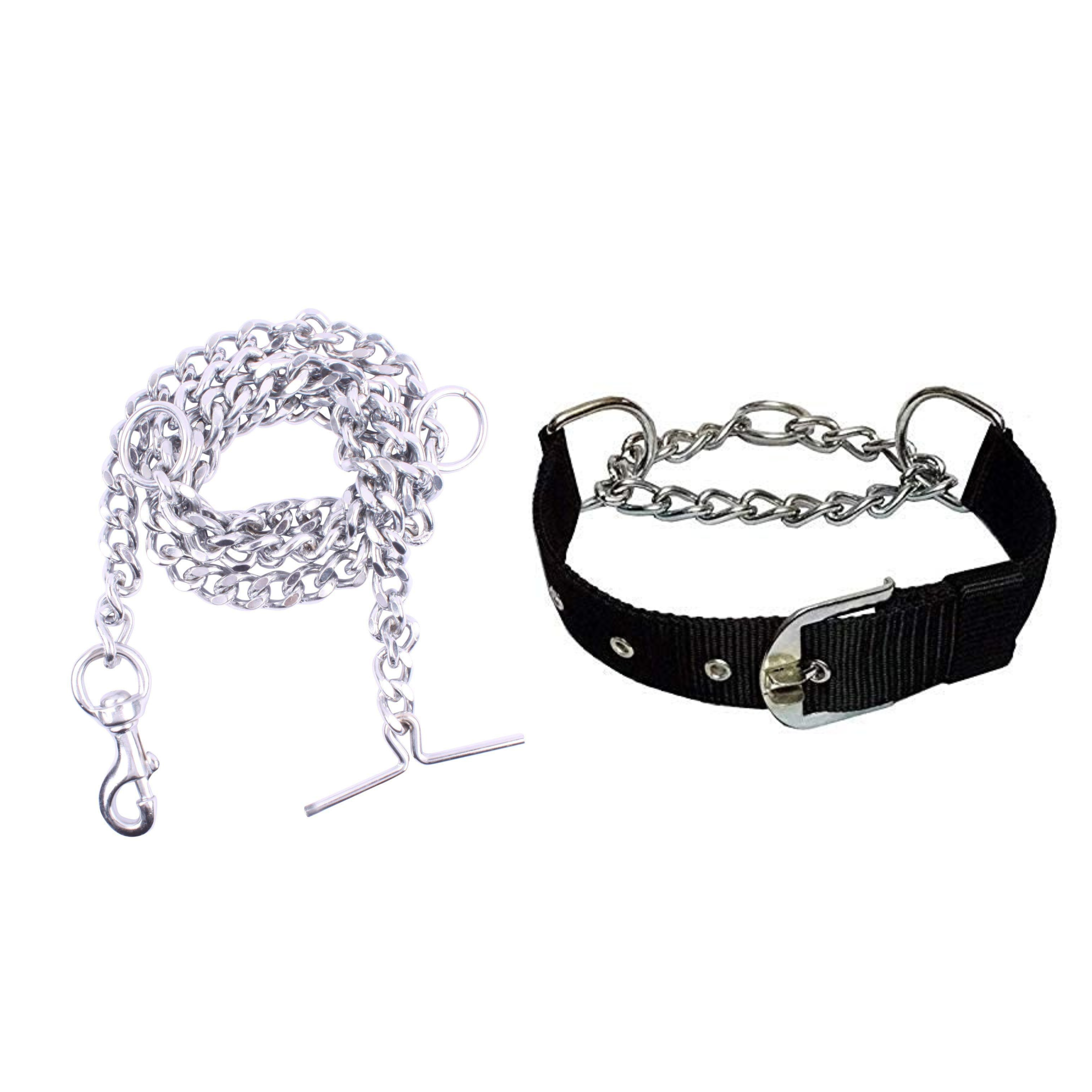Dog Chain Leash with Black Choke