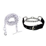 Dog Chain Leash with Black Choke Collar.